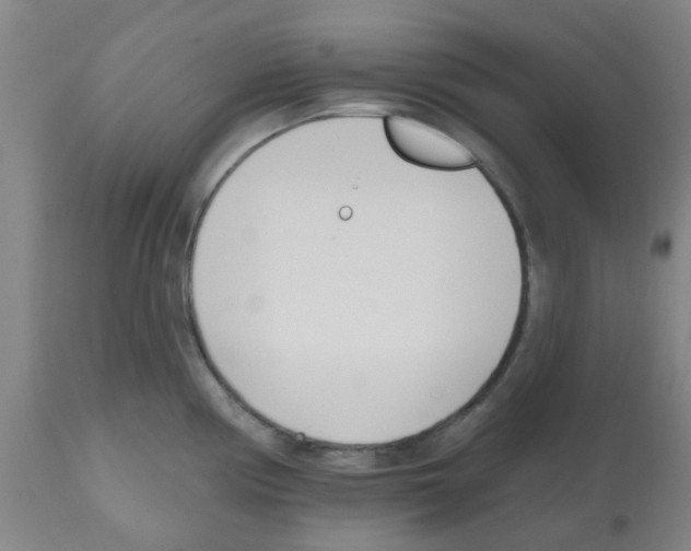 X0000112481194200909281102