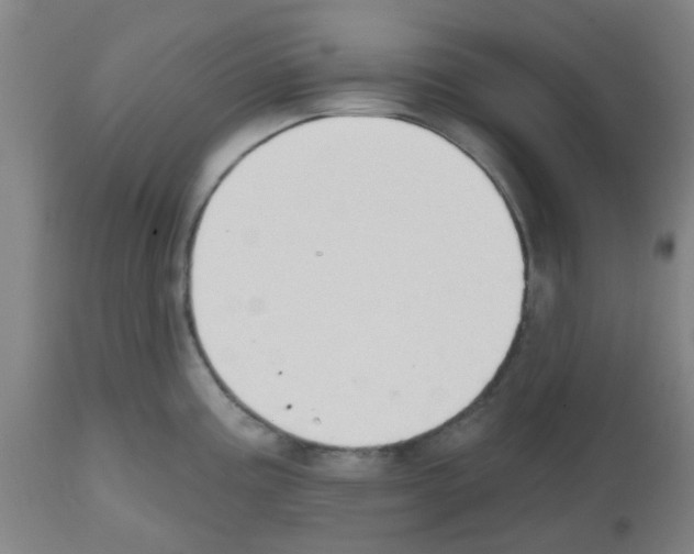 X0000112481195200909281102