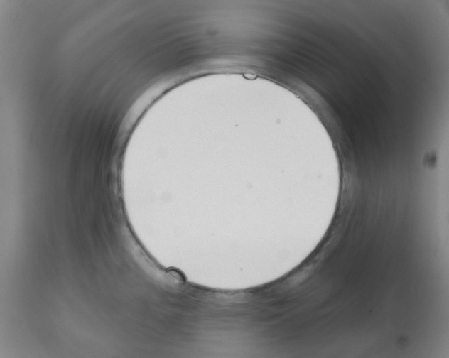 X0000112481196200909281102