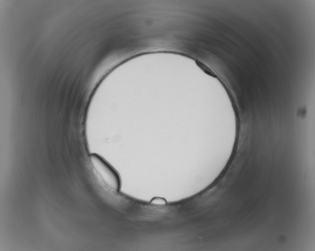 X0000112481197200909281102