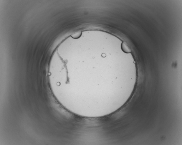 X0000112481198200909281102