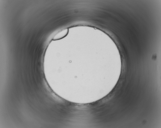 X0000112481199200909281102