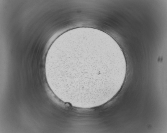 X0000112481200200909281102