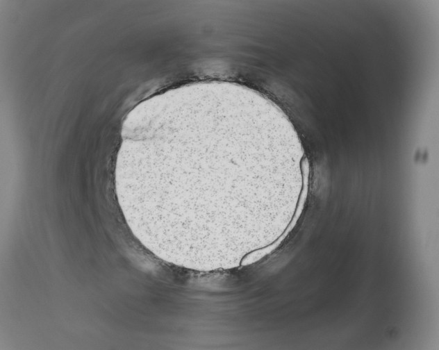 X0000112481201200909281101