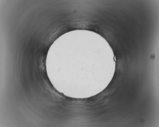 X0000112481202200909281101