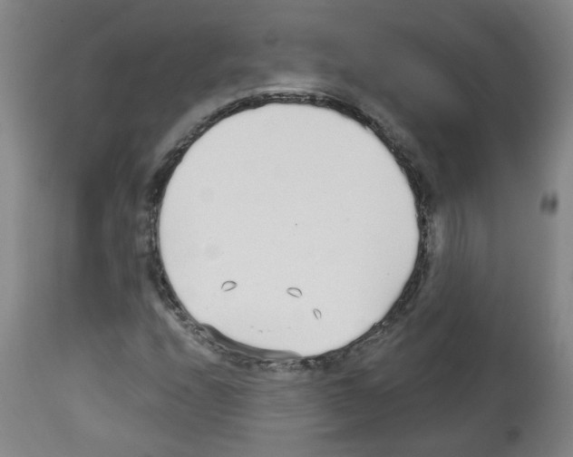 X0000112481208200909281101