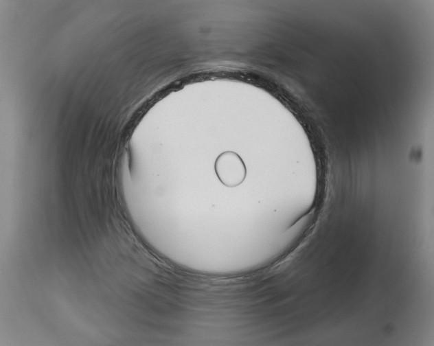 X0000112481209200909281101