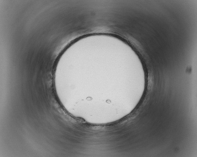 X0000112481212200909281101