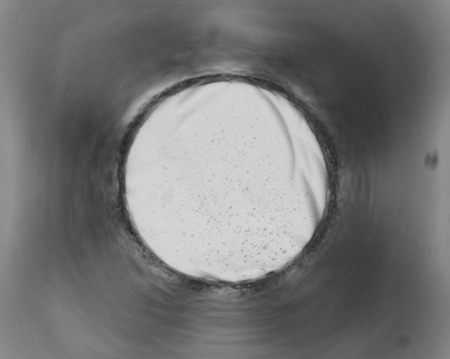 X0000112481214200909281101