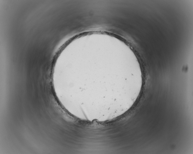 X0000112481216200909281101