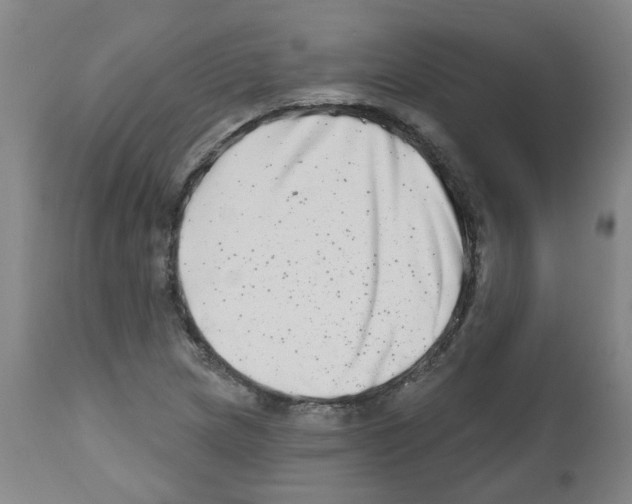 X0000112481217200909281101