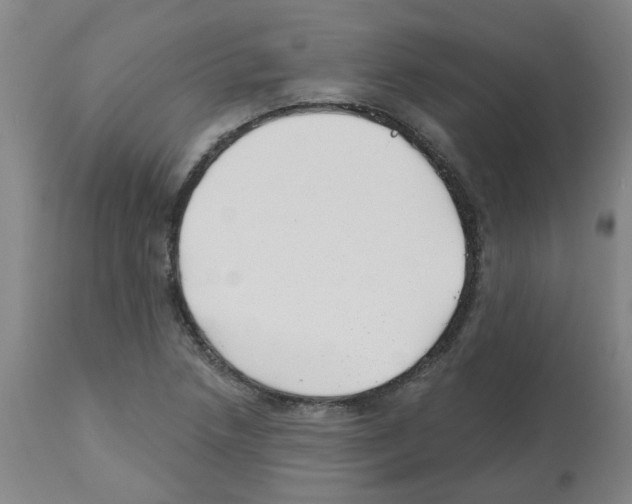 X0000112481218200909281101