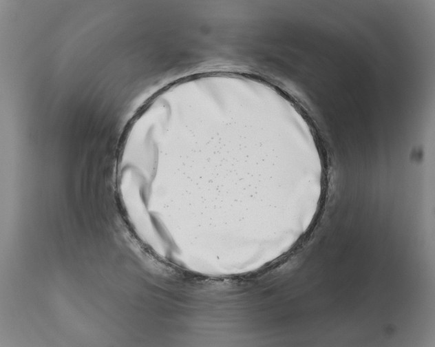 X0000112481220200909281101