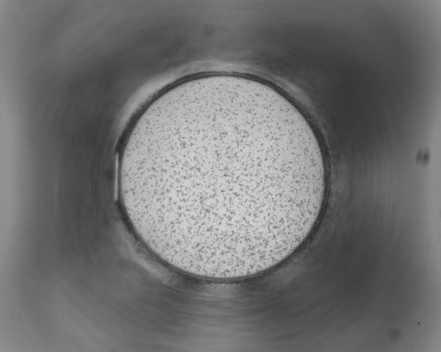 X0000112481223200909281101