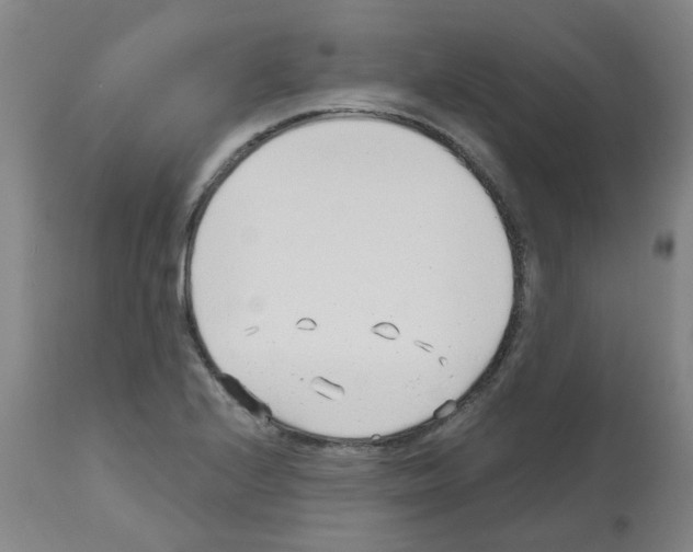 X0000112481224200909281101