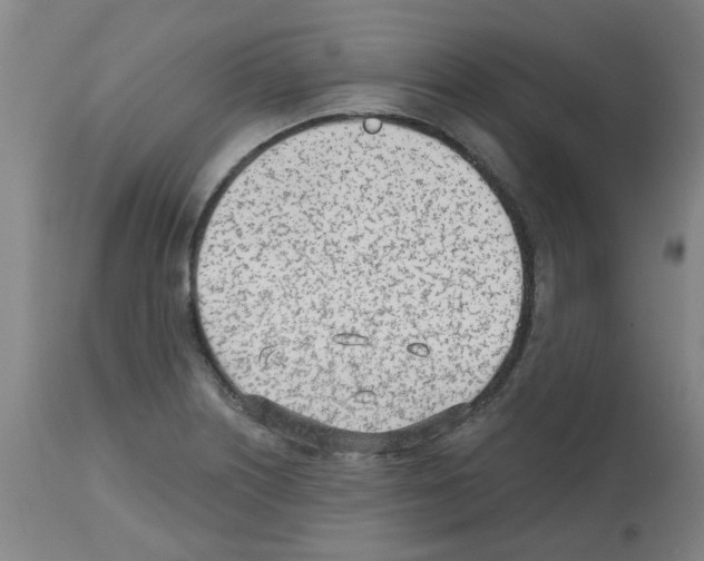 X0000112481226200909281101