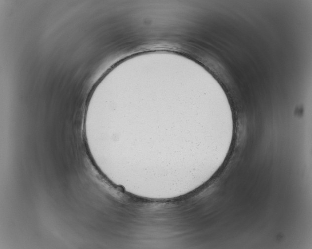 X0000112481228200909281101