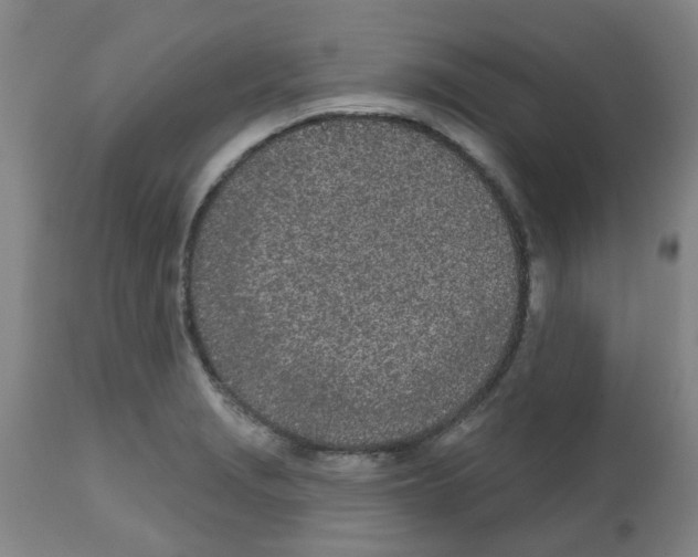 X0000112481229200909281101