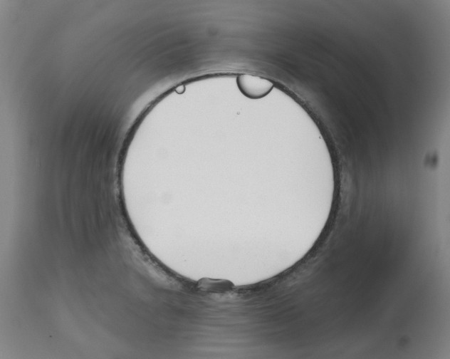 X0000112481230200909281101