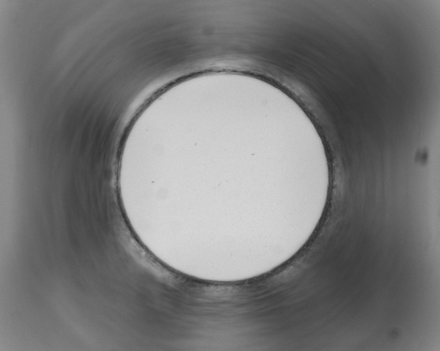 X0000112481232200909281101