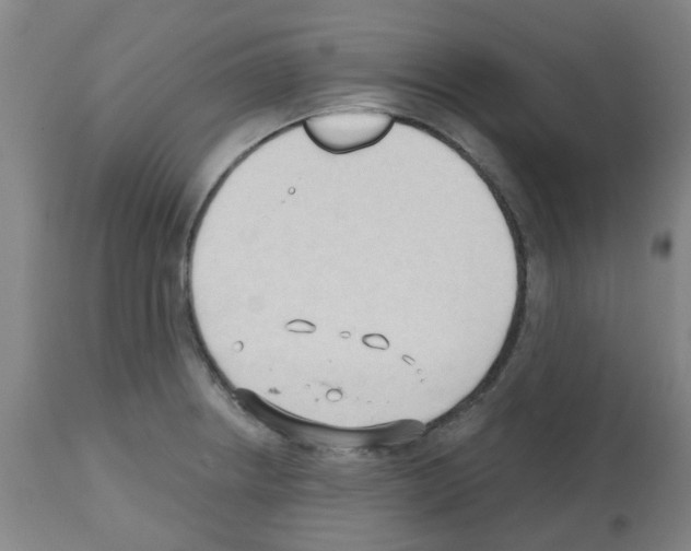 X0000112481234200909281101