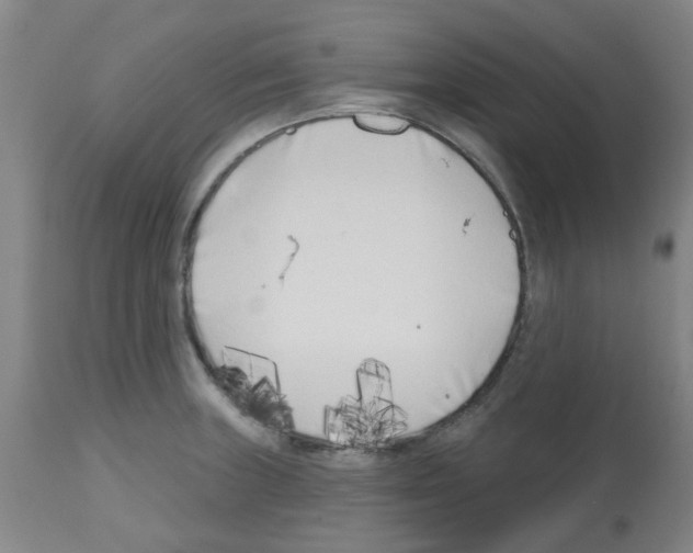 X0000112481235200909281101