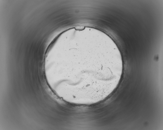 X0000112481236200909281101