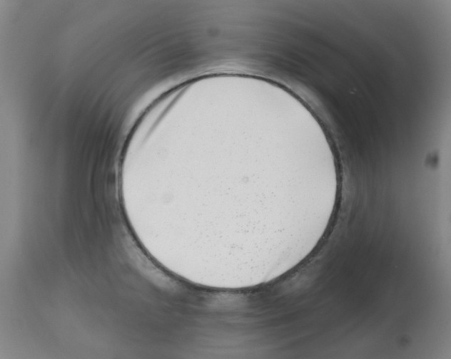 X0000112481238200909281101