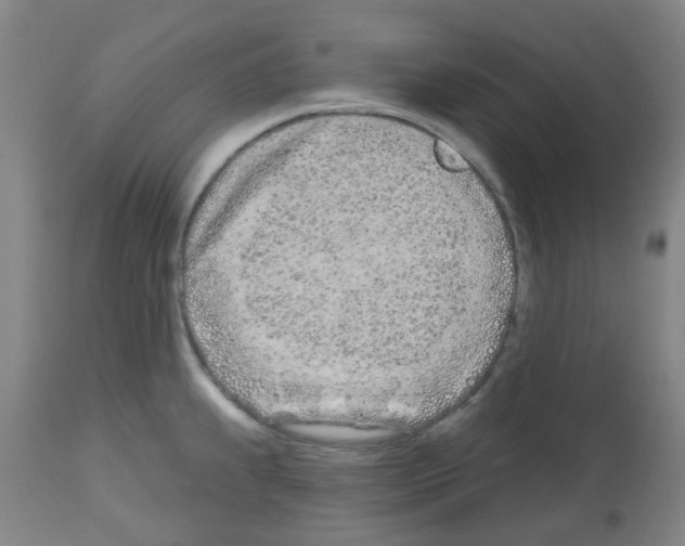 X0000112481239200909281101