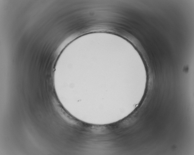 X0000112481242200909281102