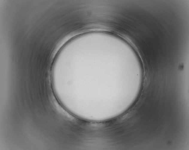 X0000112481243200909281102