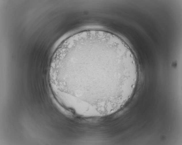 X0000112481245200909281102