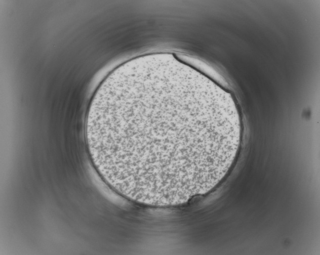 X0000112481246200909281102