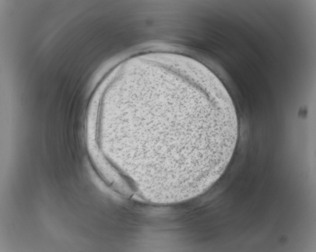 X0000112481247200909281102