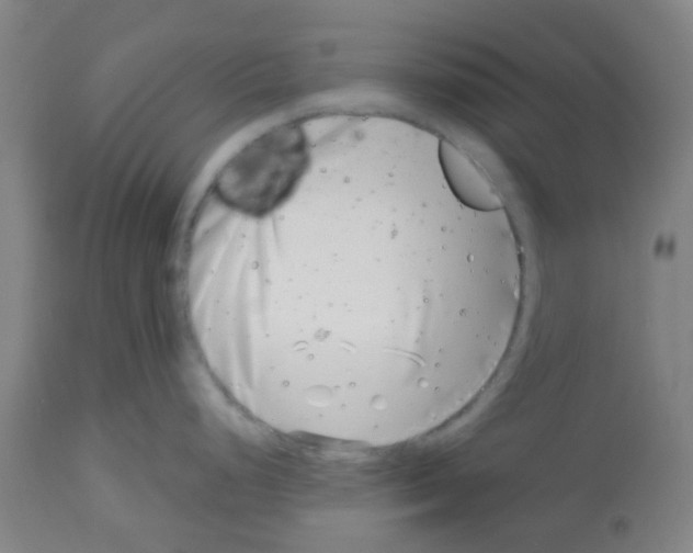 X0000112481248200909281102