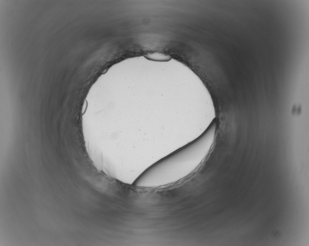 X0000112481249200909281101