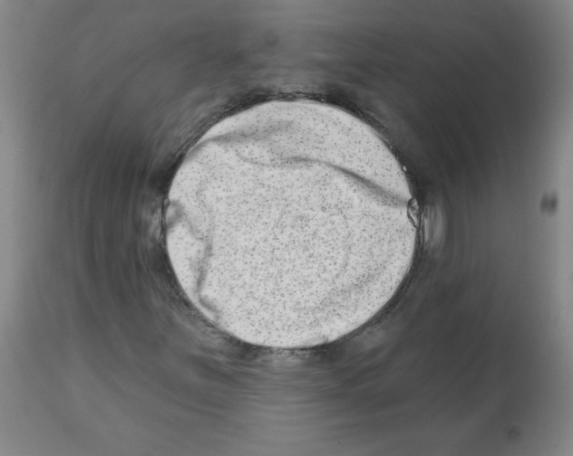 X0000112481251200909281101