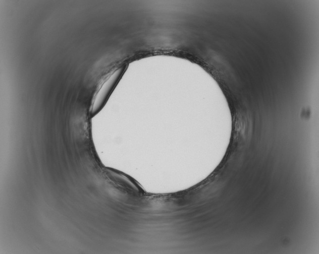 X0000112481252200909281101