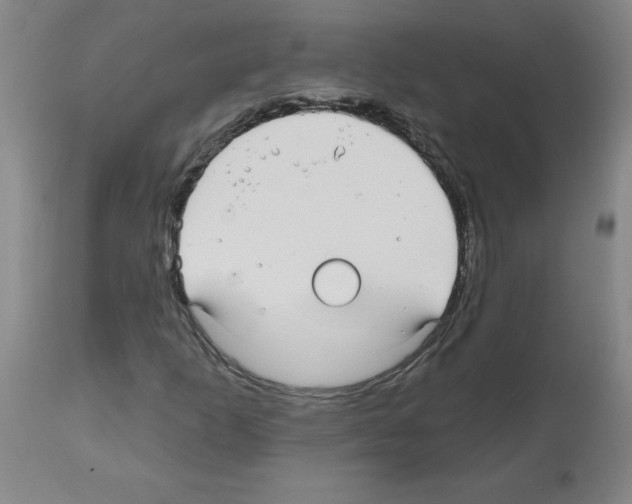 X0000112481253200909281101