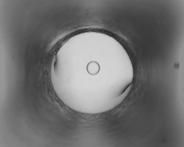 X0000112481255200909281101