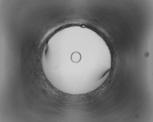 X0000112481256200909281101