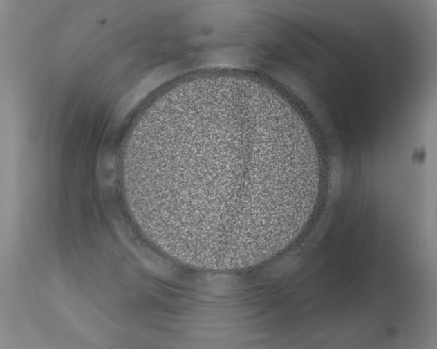 X0000112481258200909281101