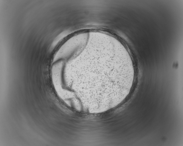 X0000112481259200909281101