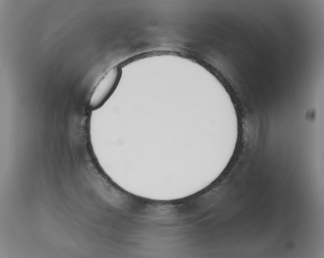 X0000112481260200909281101