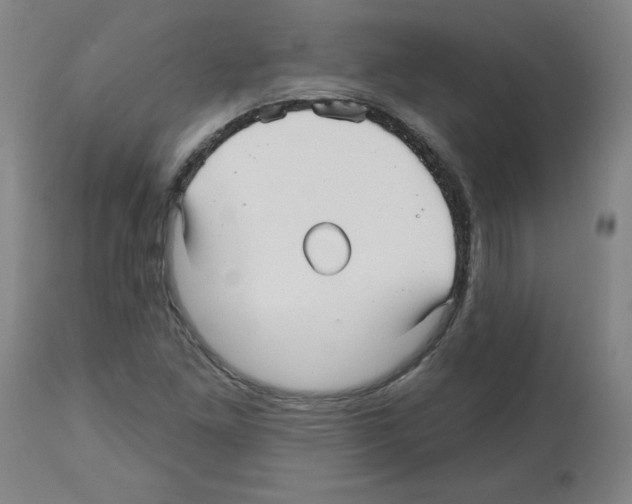 X0000112481261200909281101