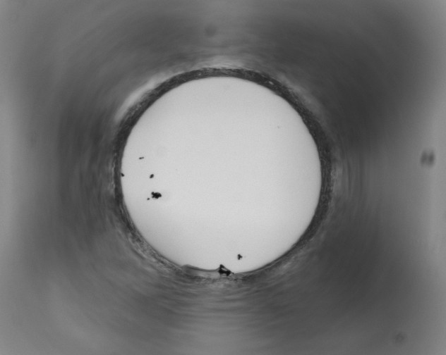 X0000112481262200909281101