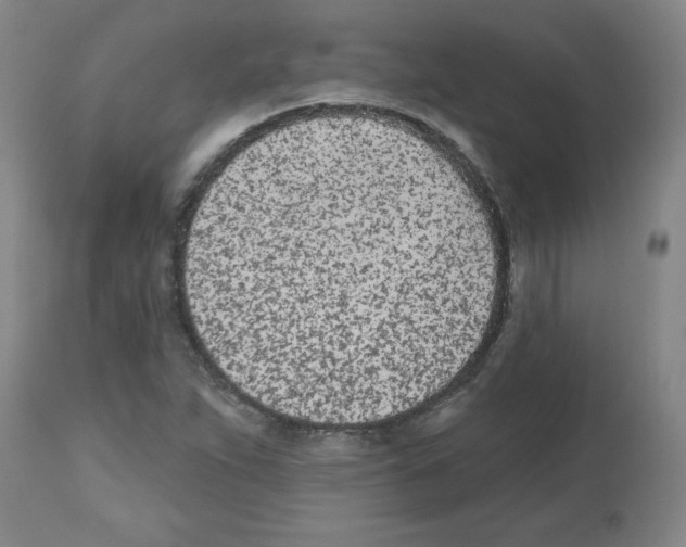 X0000112481263200909281101