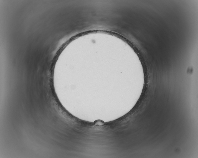 X0000112481264200909281101