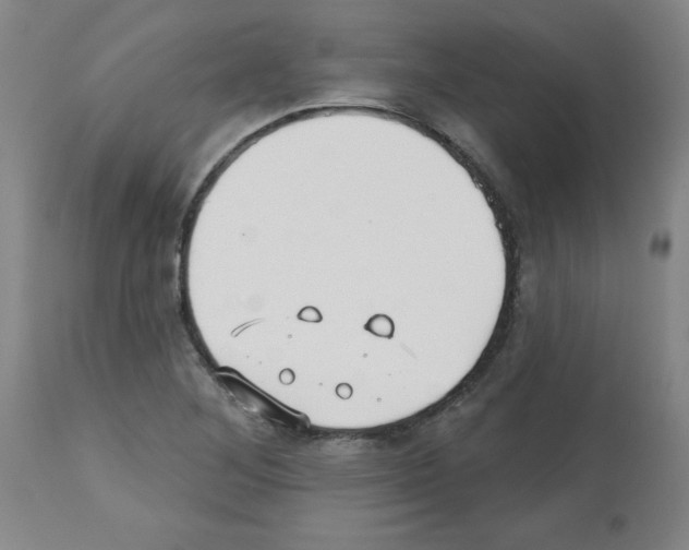 X0000112481268200909281101