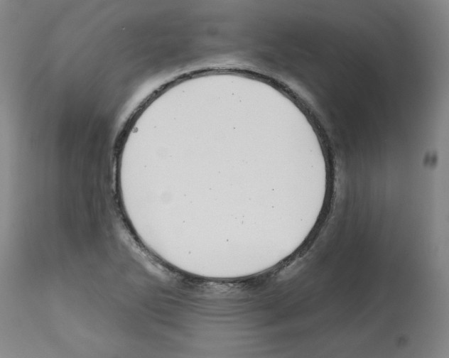 X0000112481270200909281101